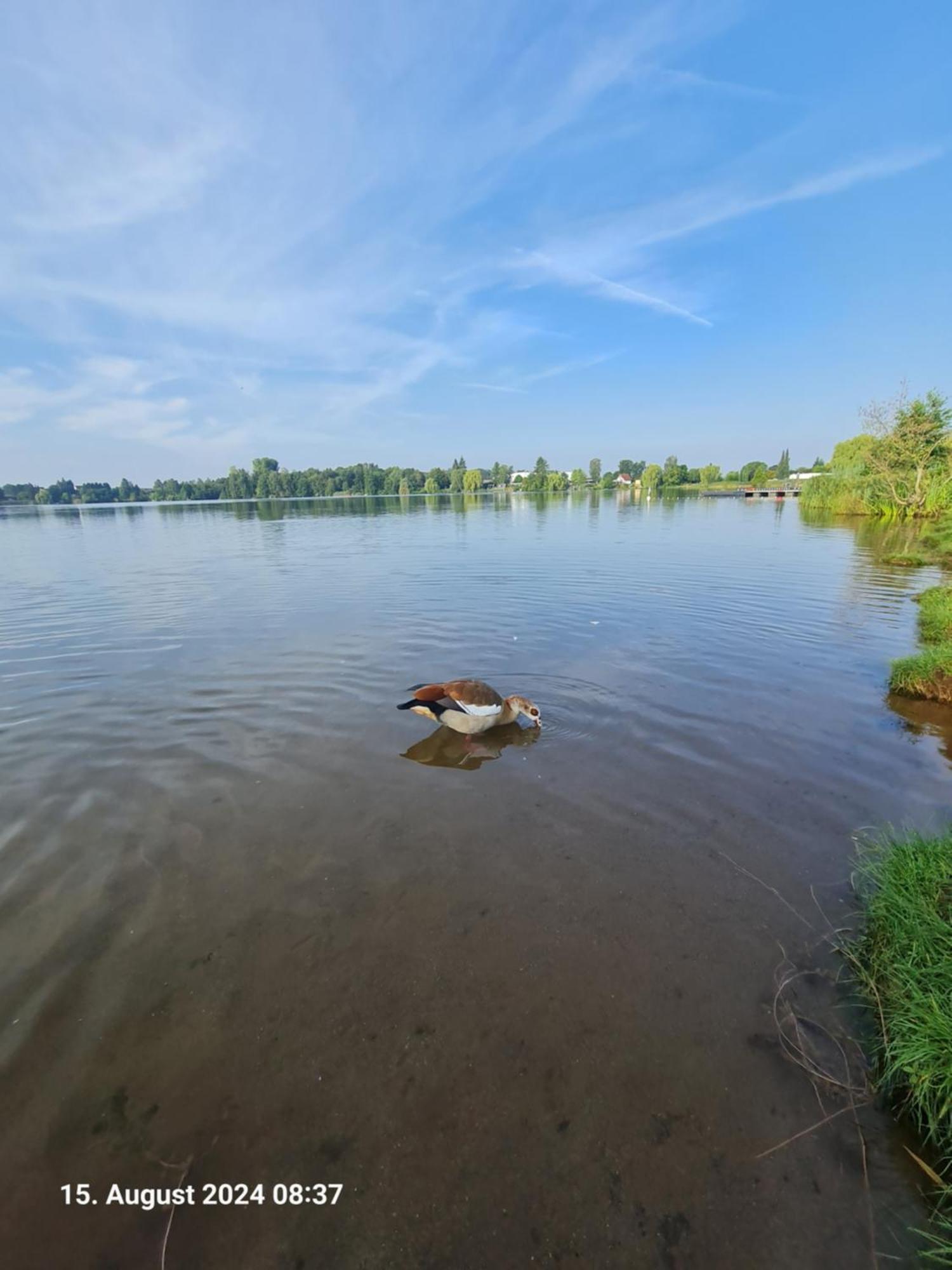 Ferienhaus Am See-2 Hungen Exteriér fotografie